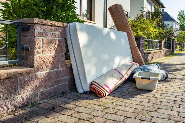 Best Yard Cleanup Services  in Lake Havasu City, AZ